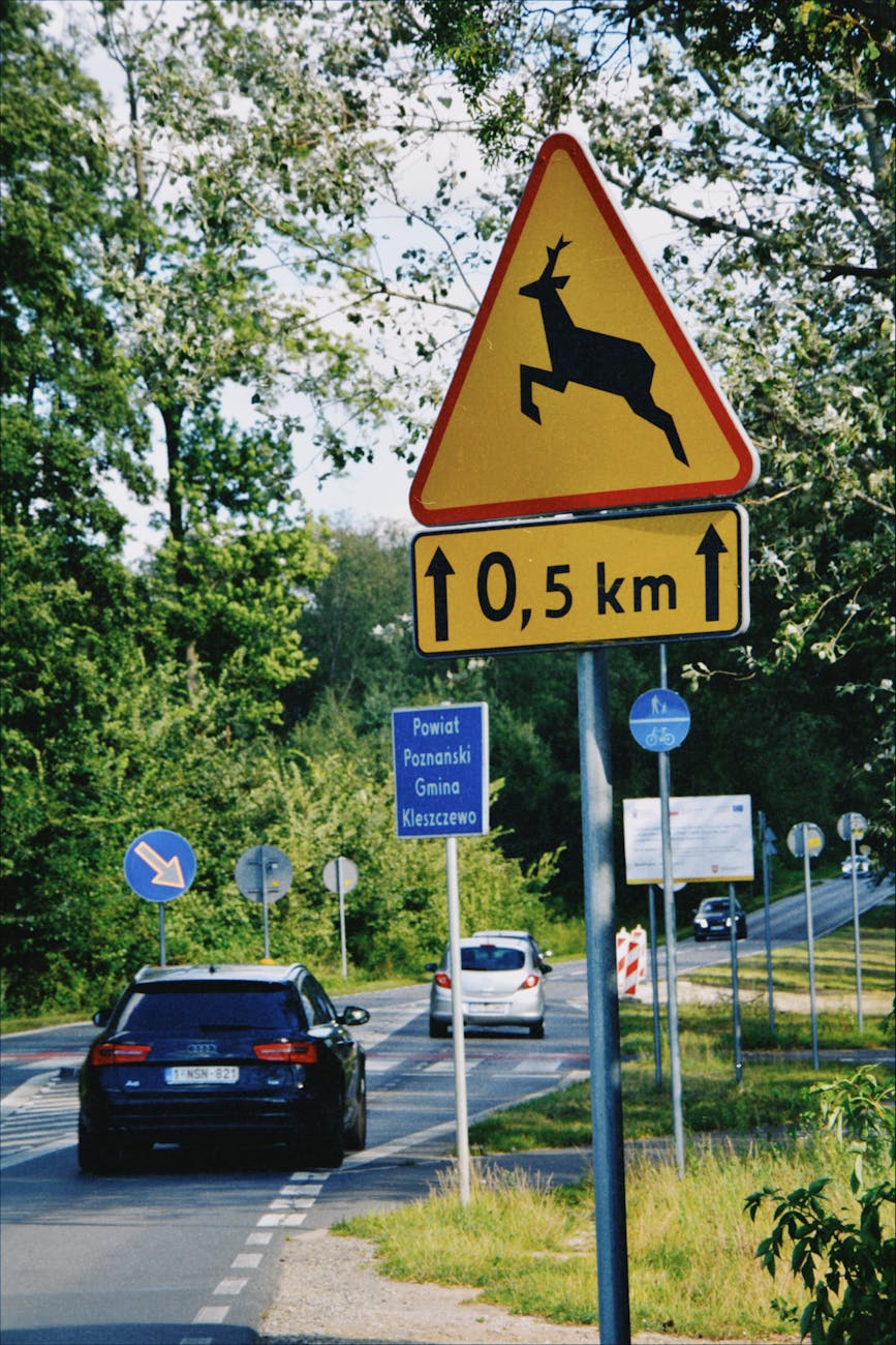 a road sign with a deer on it